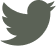 X (Formerly Twitter)